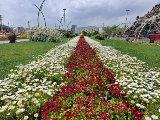 رئیس سازمان سیما، منظر و فضای سبز شهری شهرداری ارومیه از آغاز مقدمات برگزاری جشنواره گل‌ها در بوستان گوللرباغی این شهر خبر داد.