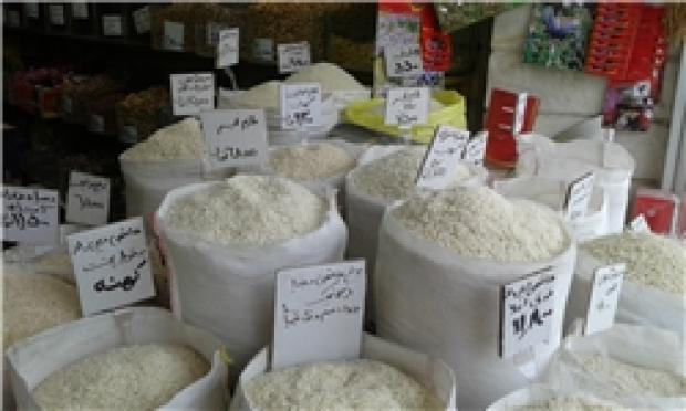 رفع ممنوعیت واردات برنج در فصل برداشت در انتظار ابلاغ رئیس کارگروه تنظیم بازار