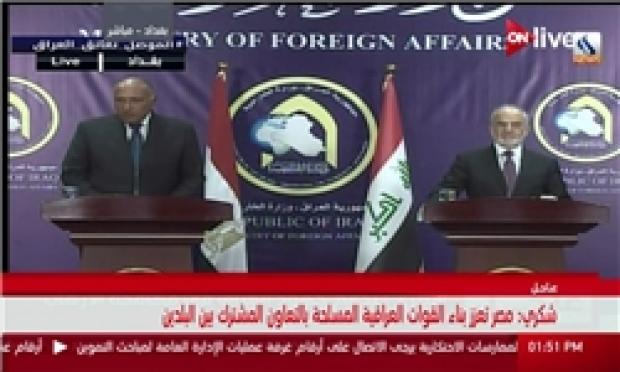 سامح شکری: امیدواریم عراق هرچه زودتر همه مناطق خود را آزاد کند