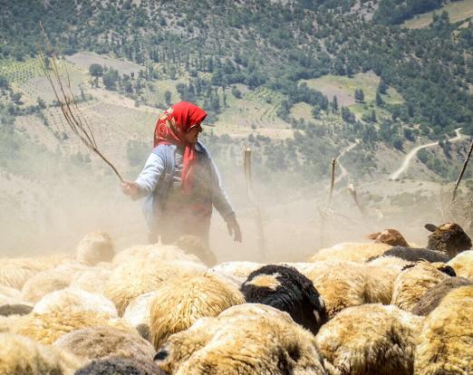 بازدید سرپرست دانشگاه علوم پزشکی از بیمارستان شهید بهشتی قروه