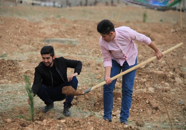 اختصاص900 هزار اصله نهال برای هفته درختکاری در کردستان