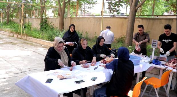 در ایام پرخیر و برکت عید سعید قربان، کمیته امداد امام خمینی (ره) شهرستان بوکان با اجرای مجموعه‌ای از اقدامات انسان‌دوستانه، بار دیگر چهره‌ای زیبا و امیدبخش از خدمت بی‌منت به نیازمندان را به نمایش گذاشت.