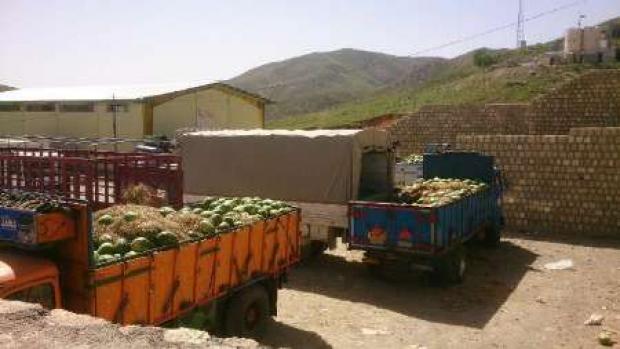 افزایش 50 درصدی صادرات هندوانه از سردشت به اقلیم کردستان عراق