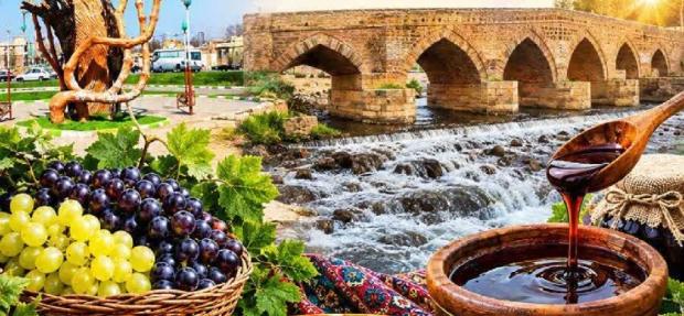 جشنواره انگور و دوشاب ملکان اهمیت اقتصادی و فرهنگی دارد