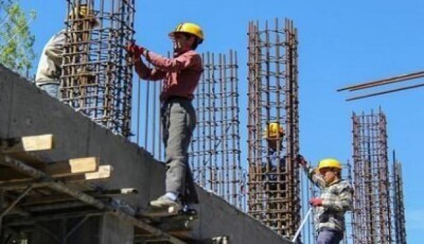 بررسی روند تخصصی تکثیر میش‌مرغ در بوکان با مشارکت دانشگاه شهید بهشتی 