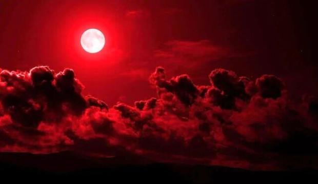 پارکێکی یەک هێکتار لە شارۆچکەی «شەهرداری» کرماشان کرایەوە