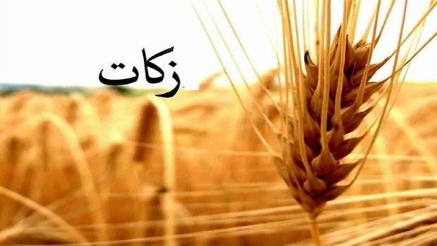 افزایش یک و نیم برابری جمع آوری زکات در چالدران