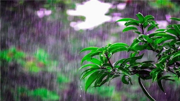 معاون توسعه و پیش‌بینی اداره کل هواشناسی کردستان گفت: از امروز چهارشنبه تا روز یکشنبه شاهد بارش‌های رگباری و بهاره خواهیم بود.