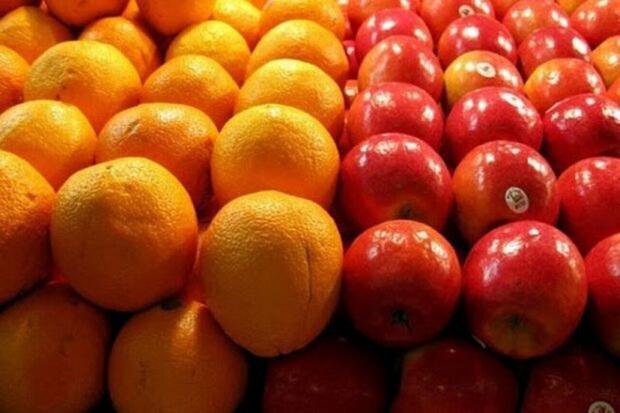 معاون استاندار: ۴۲۵ تن میوه شب عید آماده عرضه در بازارهای آذربایجان‌غربی است