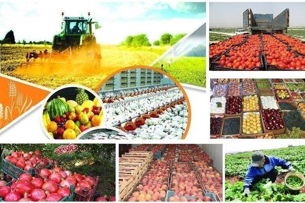 قانون اصلاح قانون تضمینی خرید محصولات اساسی کشاورزی ابلاغ شد