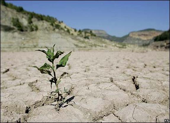 پایش گسترده مناطق مستعد خشکسالی امری اجتناب ناپذیر است