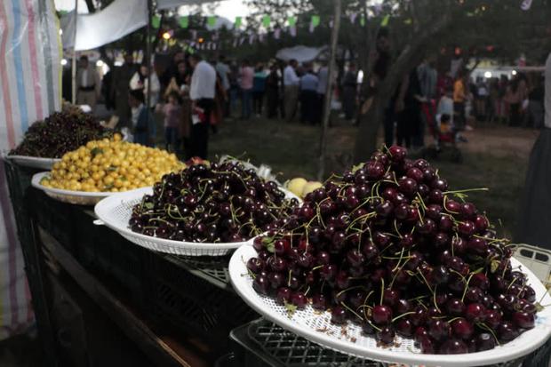 این جشنواره، فقط یه رویداد نیست... یه مأموریت ویژه برای عاشقان مزه، ماجراجویان طبیعت و معتادان به عکس‌گرفتن با سبد گیلاسه!