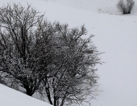 سرمای زمستانی در آذربایجان‌غربی تداوم دارد