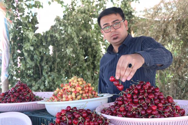 گزارش تصویری هاناخبر را مشاهده فرمائید