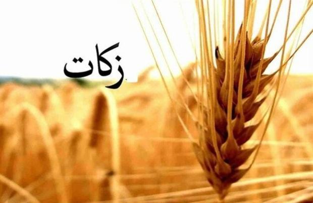جمع‌آوری ۸۸ میلیارد تومان زکات در دو ماهه نخست سال در آذربایجان‌غربی