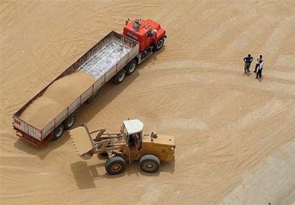 افت تولید در گندم زارهای دیم/ 14 هزار تن گندم از زارعان آبدانان خریداری شد