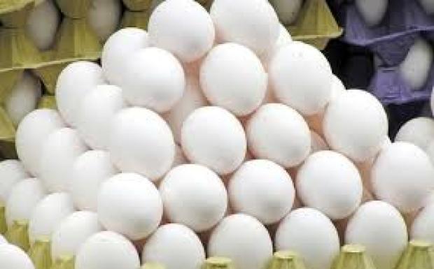 قیمت جدید هر شانه تخم مرغ چند؟ + جدول قیمت ها