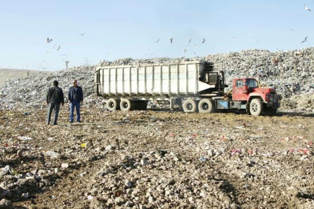 بررسی روند مدیریت پسماند و سگهای ولگرد در پیرانشهر